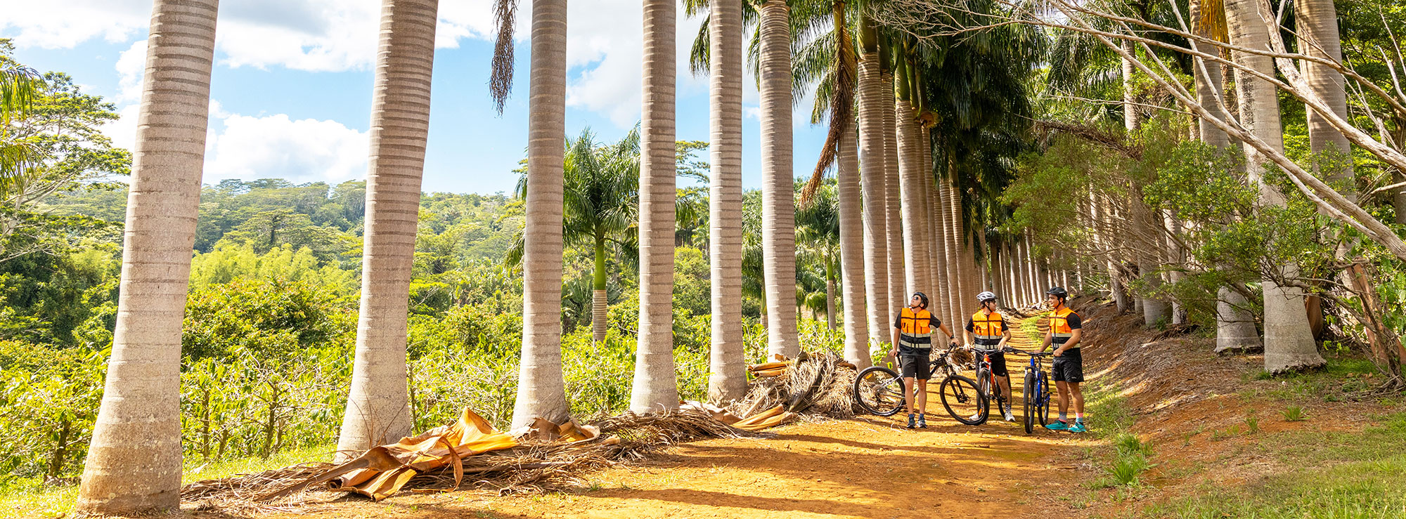 Cyclists riding through scenic Chamarel mountains