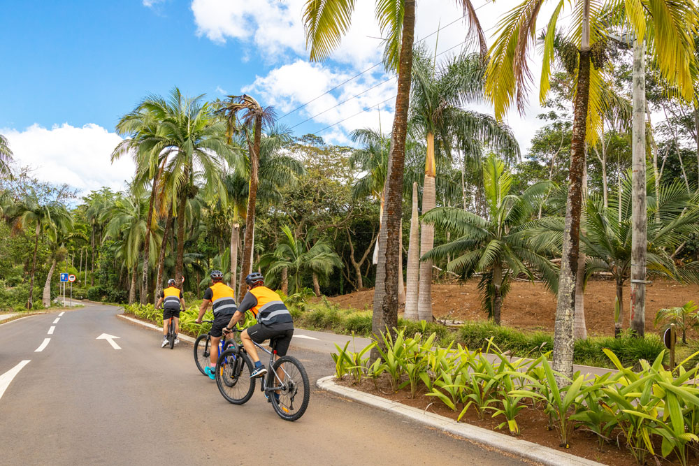 Chamarel Nature & Sights Loop